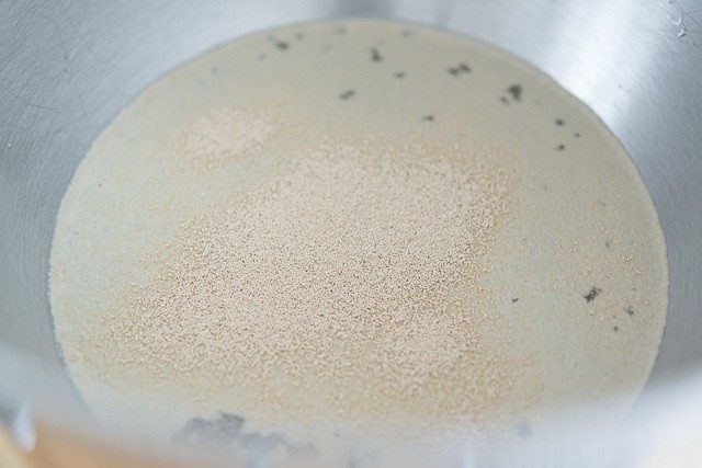 Blooming Yeast Over warm Water in Bowl