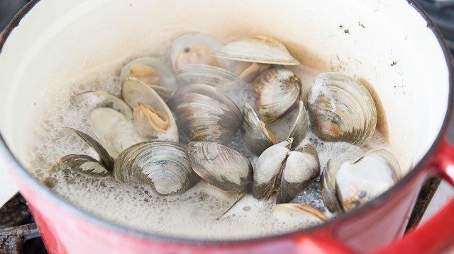 Steamed Littleneck Clams in Red Dutch Oven