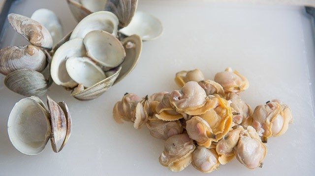 Littleneck Clam Meat in a Pile with Shells