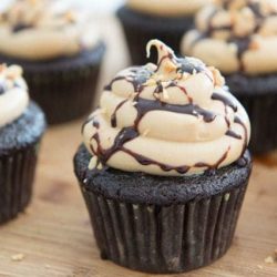 Chocolate Peanut Butter Cupcakes with Chocolate Syrup Drizzle and Chopped Peanuts On top