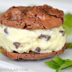 Mint Ice Cream Sandwich with Chocolate Chips