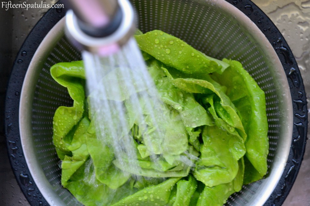 Rinsing Butter Lettuce Wraps with Water