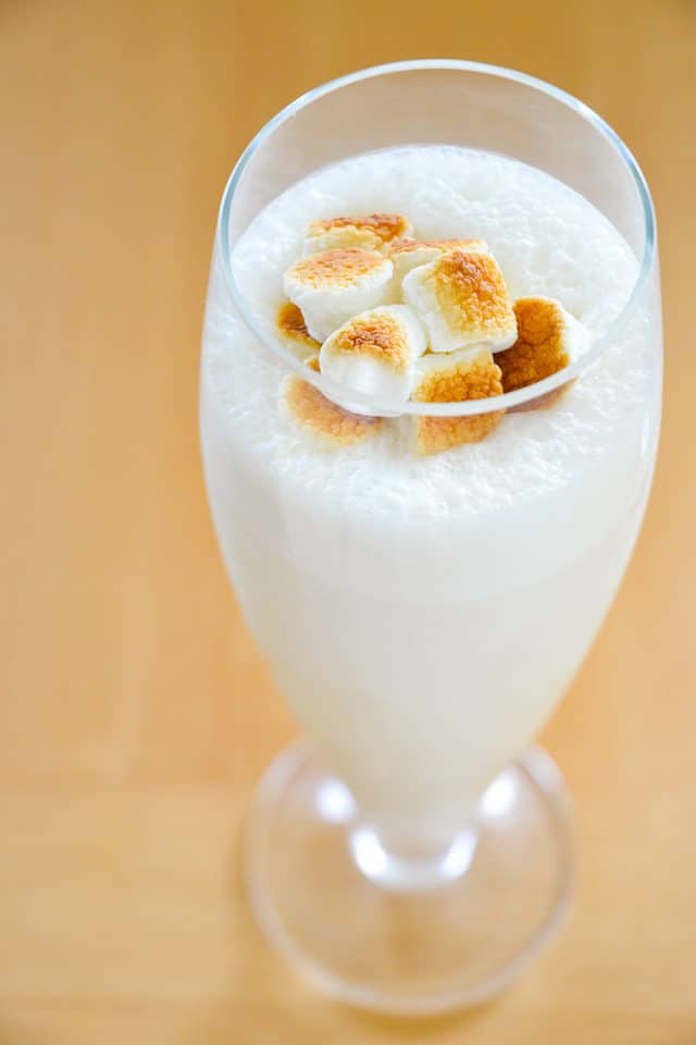 Malted Milkshake - In Tall Glass With Toasted Marshmallow and Vanilla Ice Cream