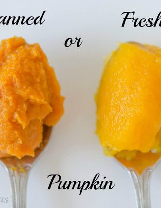 Fresh vs. Canned Pumpkin: I put them to the test!