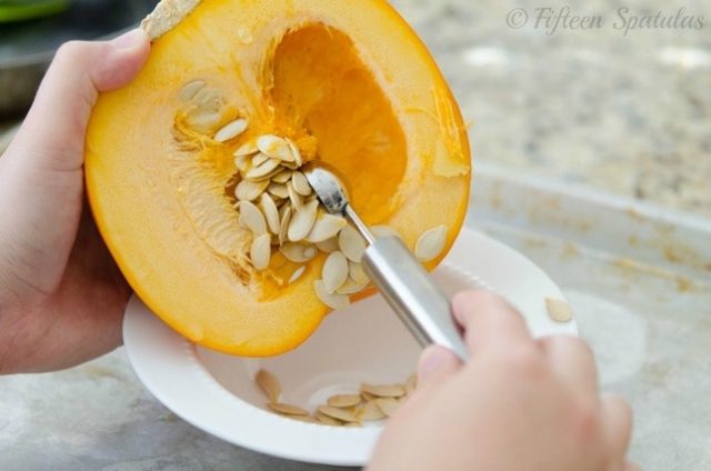 using a melon baller to seed a fresh sugar pumpkin