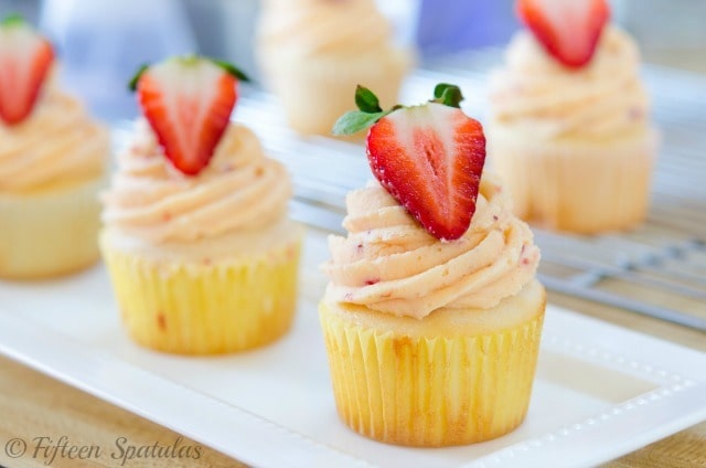 a row of white cupcakes piped with fresh strawberry buttercream