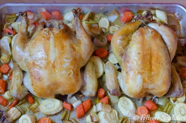 Trussed and Untrussed Roast Chickens Side by Side with Vegetables