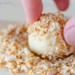 White Chocolate Baileys Truffles Rolled in Macadamia Nuts