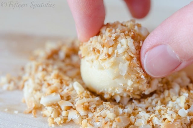 White Chocolate Truffles - Close Up View Rolled in Macadamia Nuts