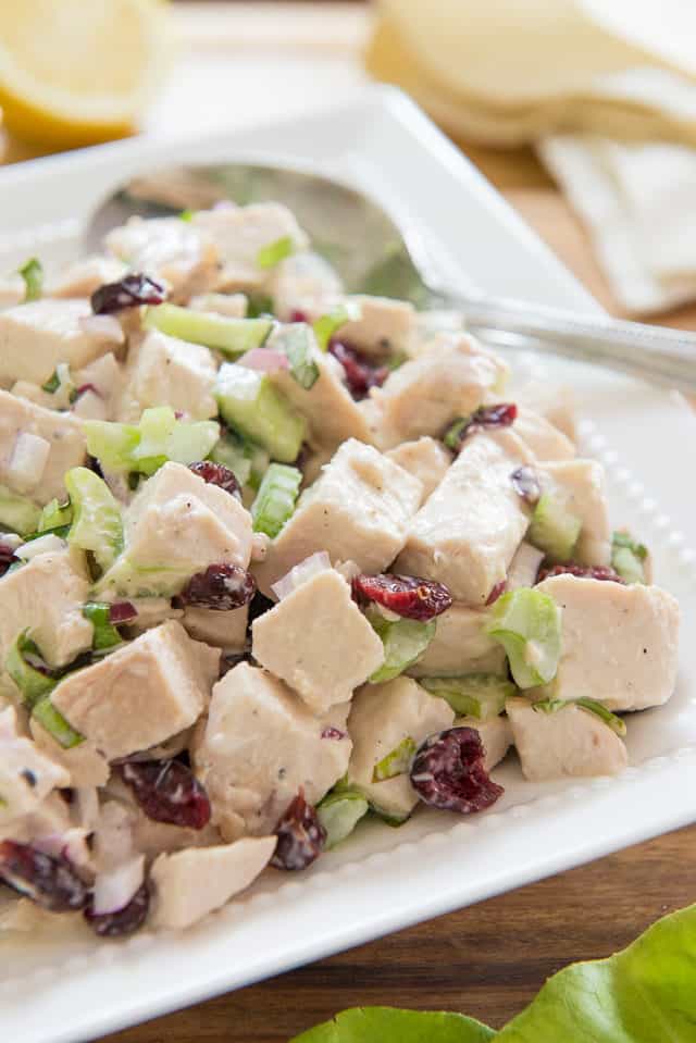 Cranberry Chicken Salad - in White Dish with Celery and Craisins