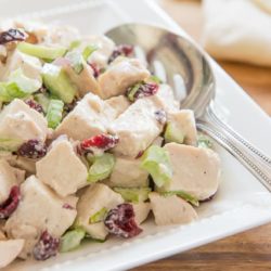 Cranberry Chicken Salad in White Dish with Celery and Craisins