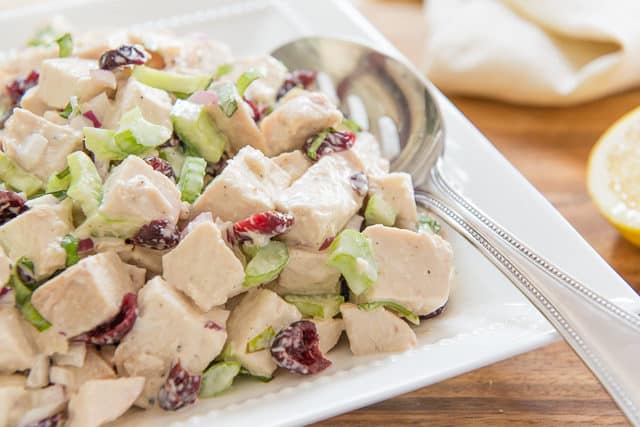 Chicken Salad - In White Dish with Cranberries, Celery, and Basil