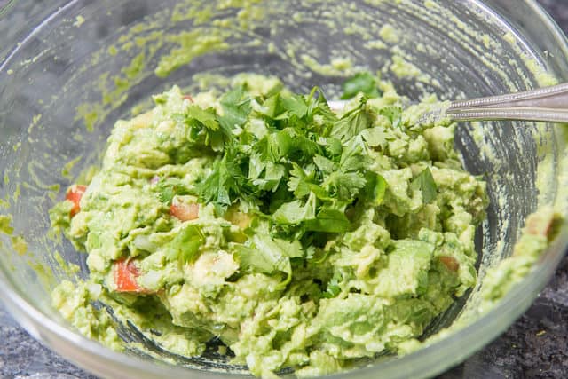 Cilantro Leaves On top of Guacamole in Bowl