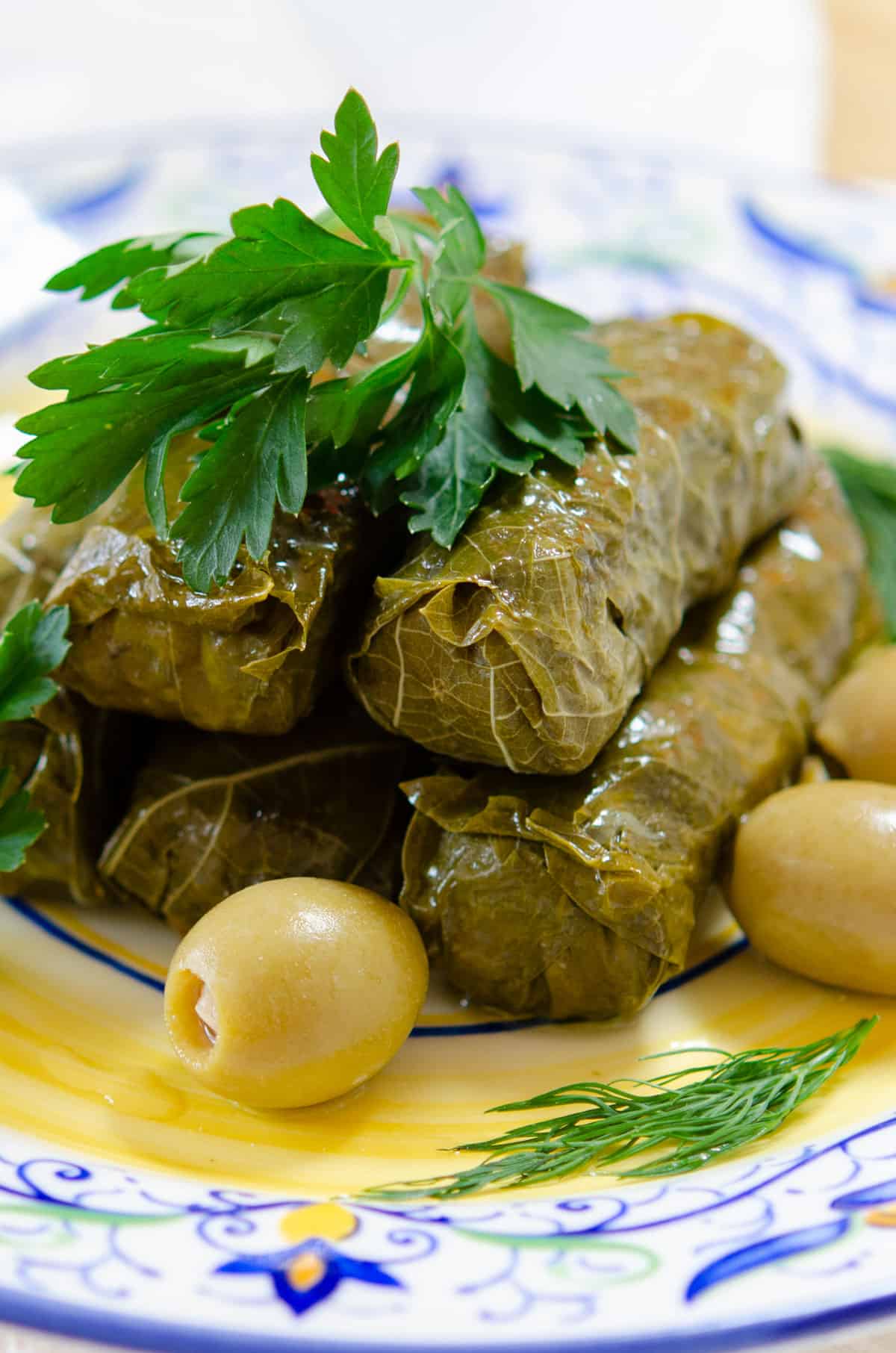 Stuffed Grape Leaves Stacked On a Plate