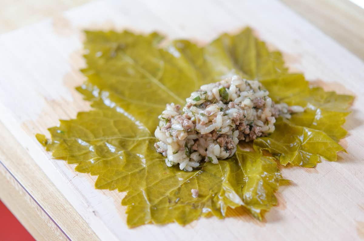 Grape Leaf With Mound of Filling