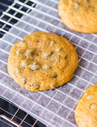 Pumpkin Chocolate Chip Cookies