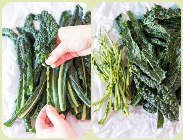 Photo Collage Showing How to Strip Kale Leaves for Salad Using Fingers