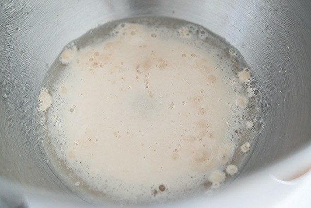 Activated Foamy Yeast in Water