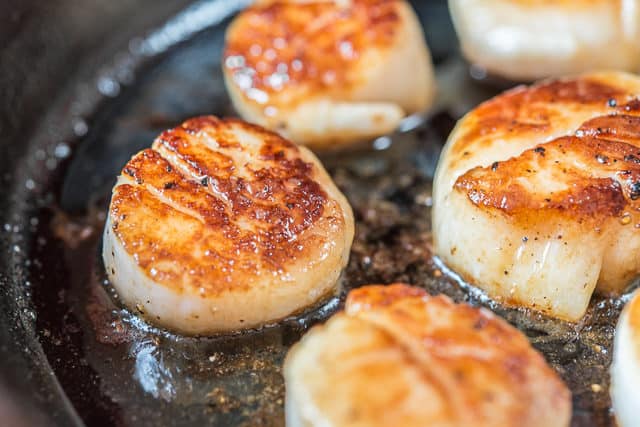 Seared Scallops How To Cook Scallops Perfectly With A Golden Brown Crust