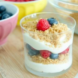 No Bake Cheesecake Parfait with Graham Crumbs and blueberries