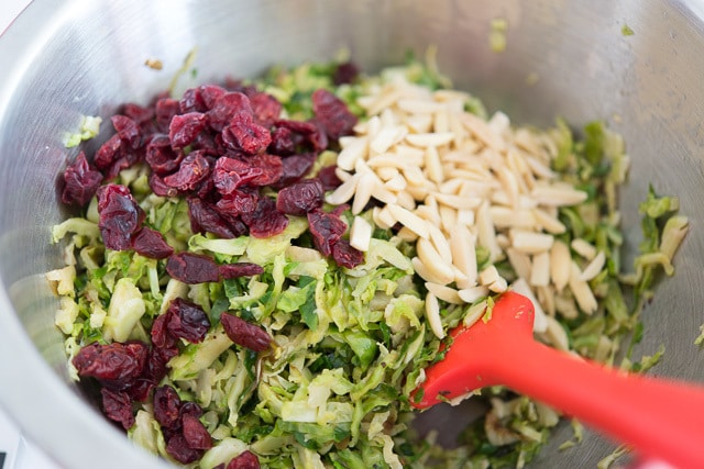Brussel Sprouts Salad with Cranberries and Almonds in Stainless Steel Bowl