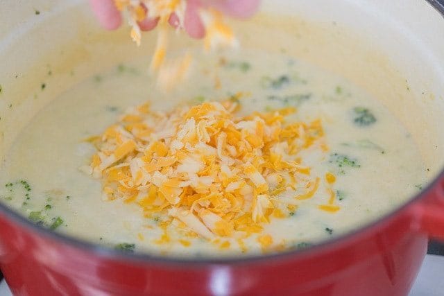 Sprinkling Grated Cheddar Cheese On Top of Broccoli and Cheddar Soup Recipe in Red Pot