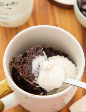 Chocolate Mug Cake