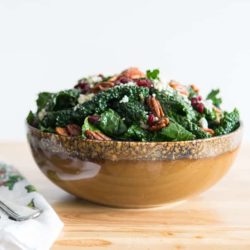 Kale Salad - with Cranberries, Candied Pecans, Blue Cheese, and Balsamic Vinaigrette in Brown Bowl