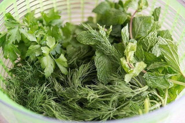 Dill, Mint, and parsley in a Salad Spinner
