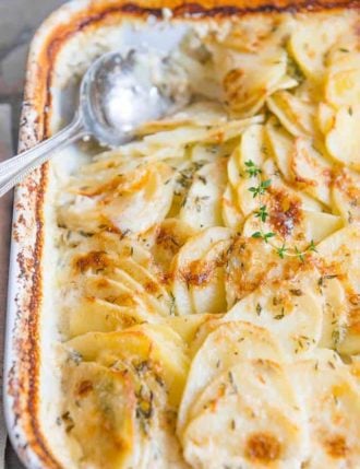 Potato Gratin