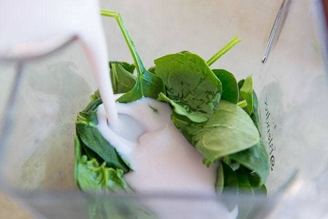 Pouring Kefir Onto Spinach Leaves in Blender Jar
