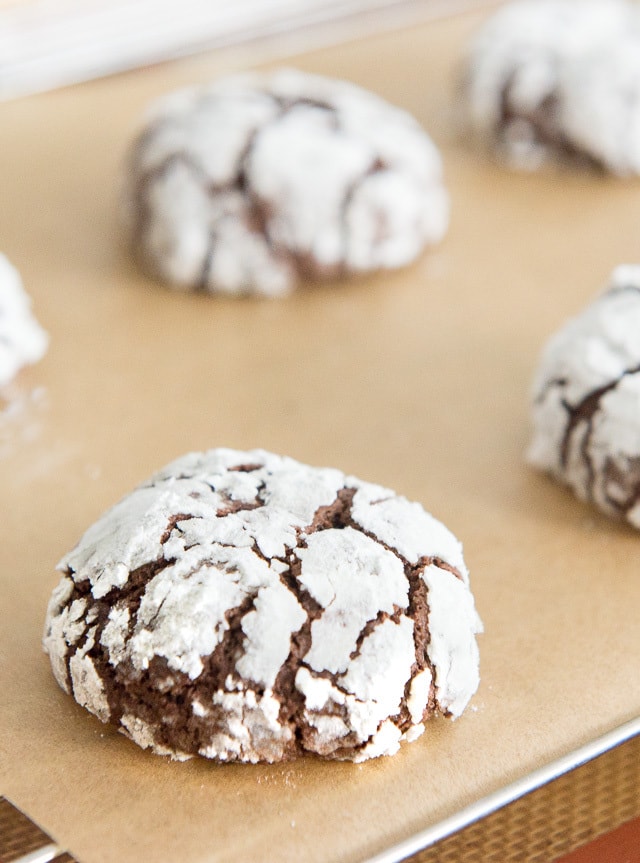 Chocolate Crinkle Cookies - In Rows On Parchment Paper