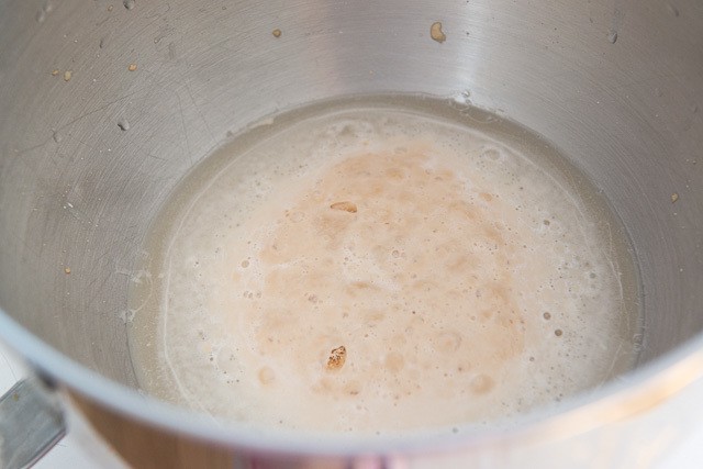 bubbly Active Yeast in Bowl