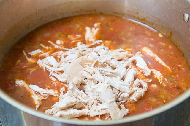 Shredded Chicken Breast Floating On Surface of Soup