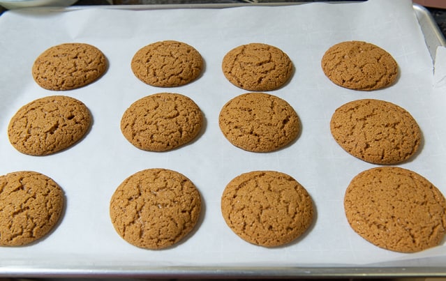 Soft Molasses Cookies on Parchment Freshly Baked with Cracks
