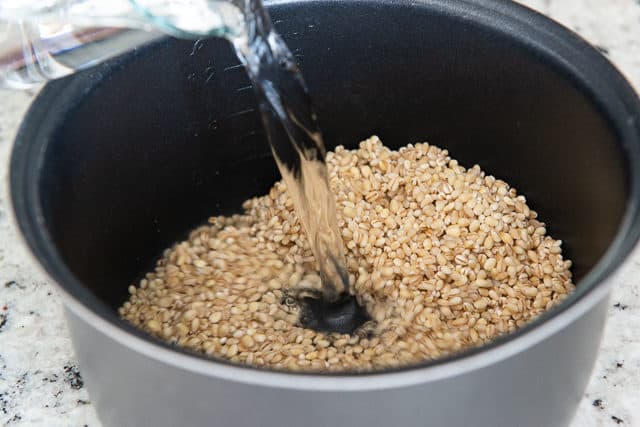 Pouring Water Into Barley in Rice Cooker 