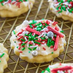 A close up of Sugar Cookie with Christmas Sprinkles