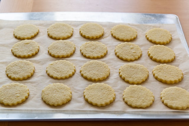 Freshly Baked Vanilla Sugar Cookies in Rows on Parchment Paper