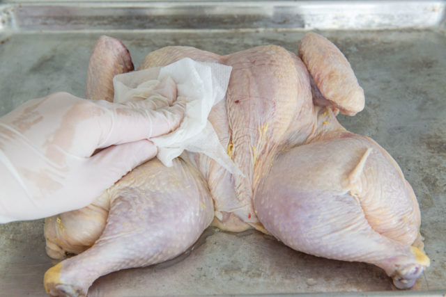 Patting a Whole Spatchcocked Chicken Dry with a Paper Towel