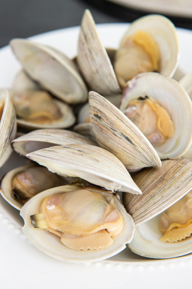 Littleneck Clams Steamed Until Open on White Plate