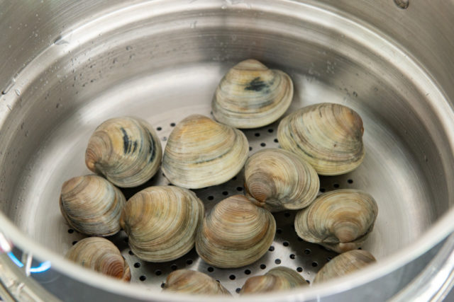 Cleaned and purged littleneck clams in a single layer in a steamer