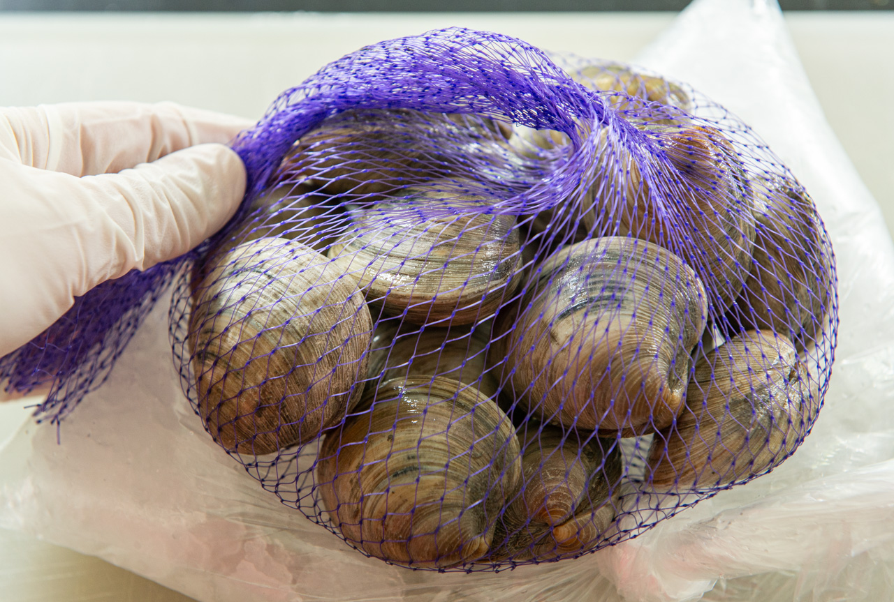 How to Clean Clams (Truly Purge Out the Sand) Fifteen Spatulas