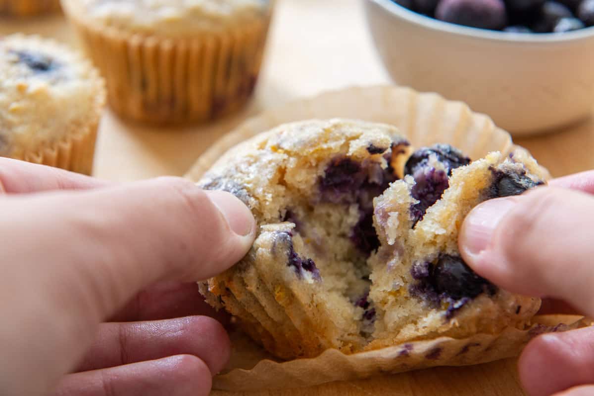 Tearing open a sourdough blueberry muffin with hands