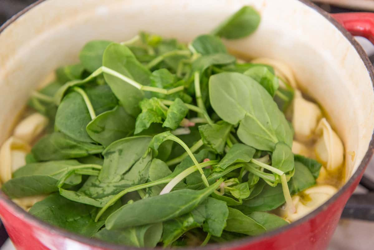 Pile of Fresh Spinach in Pot