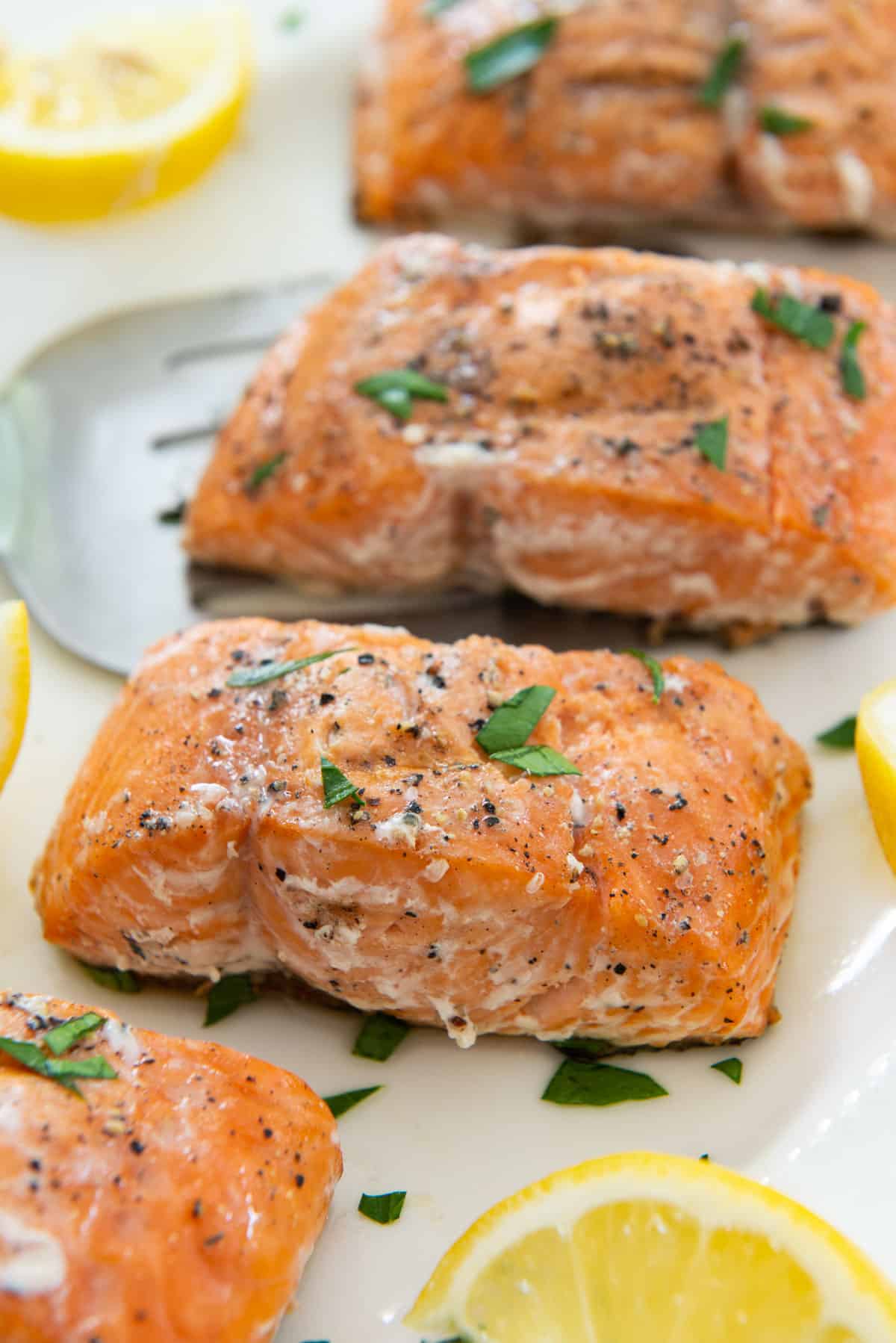 Grilled Salmon On a White Plate with Lemon