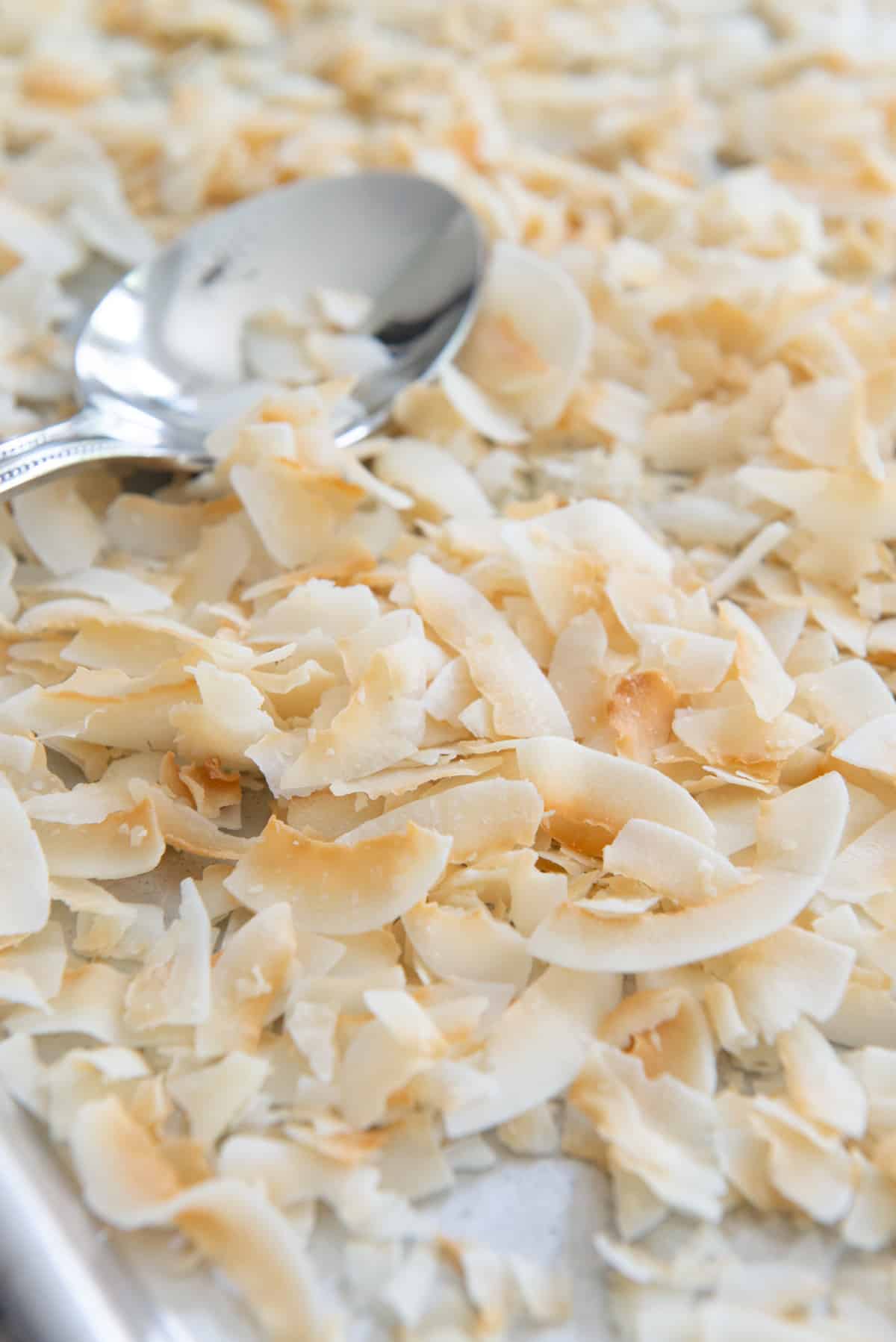 Toasted Coconut Flakes on a sheet pan with a spoon