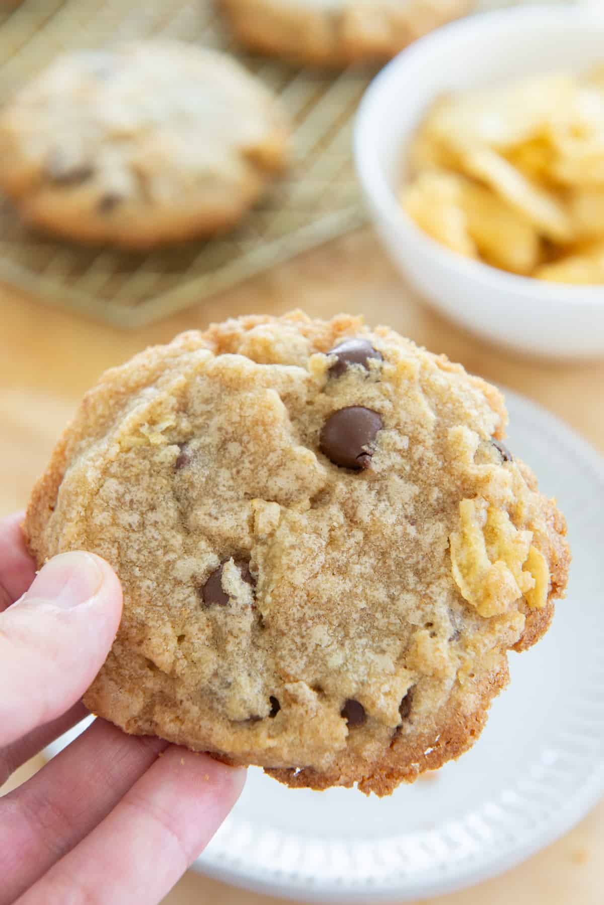 A Potato Chip Cookie Closeup Above Plate