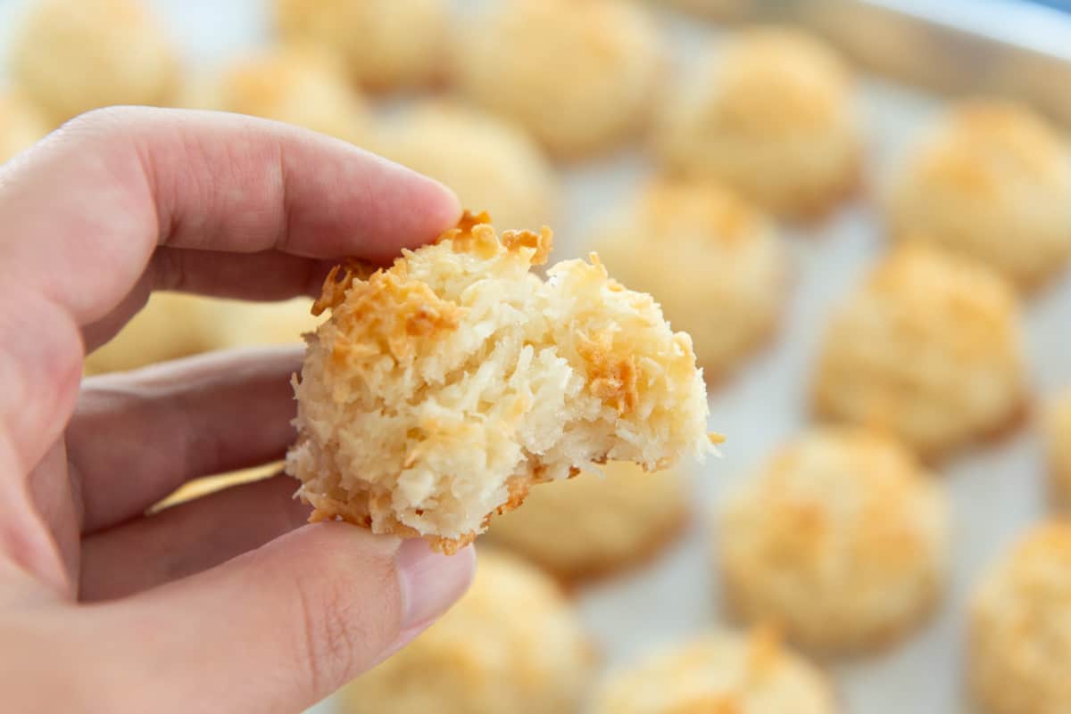 Closeup of Coconut Macaroon Cookie with Bite Removed