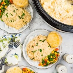 slow cooker chicken and gravy plated with rice and veggies